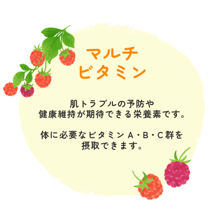 マルチビタミン 肌トラブルの予防や 健康維持が期待できる栄養素です。 体に必要なビタミンA・Ｂ・Ｃ群を摂取できます。